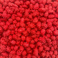 Sconza French Roasted Peanuts (Unwrapped) in Resealable Bag