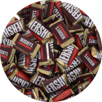 Hershey Special Dark Mini Mildly Sweet Chocolate Candy Bar in Resealable Bag