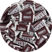 Hershey Milk Chocolate Mini Candy Bar in Resealable Bag