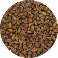 Kirkland Roasted & Salted Shelled Pistachios (Unwrapped) in Resealable Bag at OneFlavorCandy Online Sweet Shop