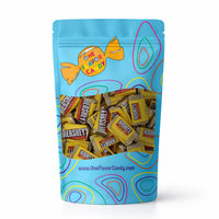 Hershey Special Dark With Peanuts Mini Chocolate Candy Bar in Resealable Bag at OneFlavorCandy Online Sweet Shop