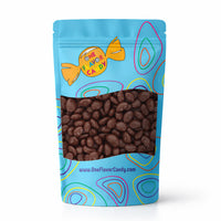 Raisinets Milk Chocolate Covered Raisins (Unwrapped) in Resealable Bag at OneFlavorCandy Online Sweet Shop