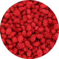 Sconza French Roasted Peanuts (Unwrapped) in Resealable Bag