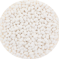 Freshmints Tic Tac - 1lb Bulk Refillable Resealable Bag