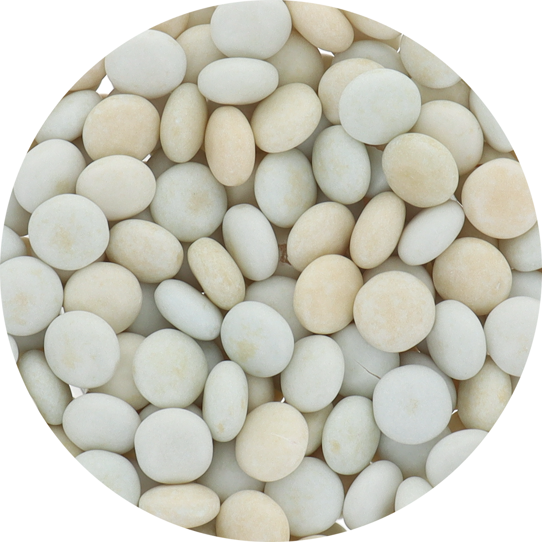 Mentos Green Apple (Unwrapped) in Resealable Bulk Bag at OneFlavorCandy Online Sweet Shop