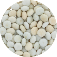 Mentos Green Apple (Unwrapped) in Resealable Bulk Bag at OneFlavorCandy Online Sweet Shop