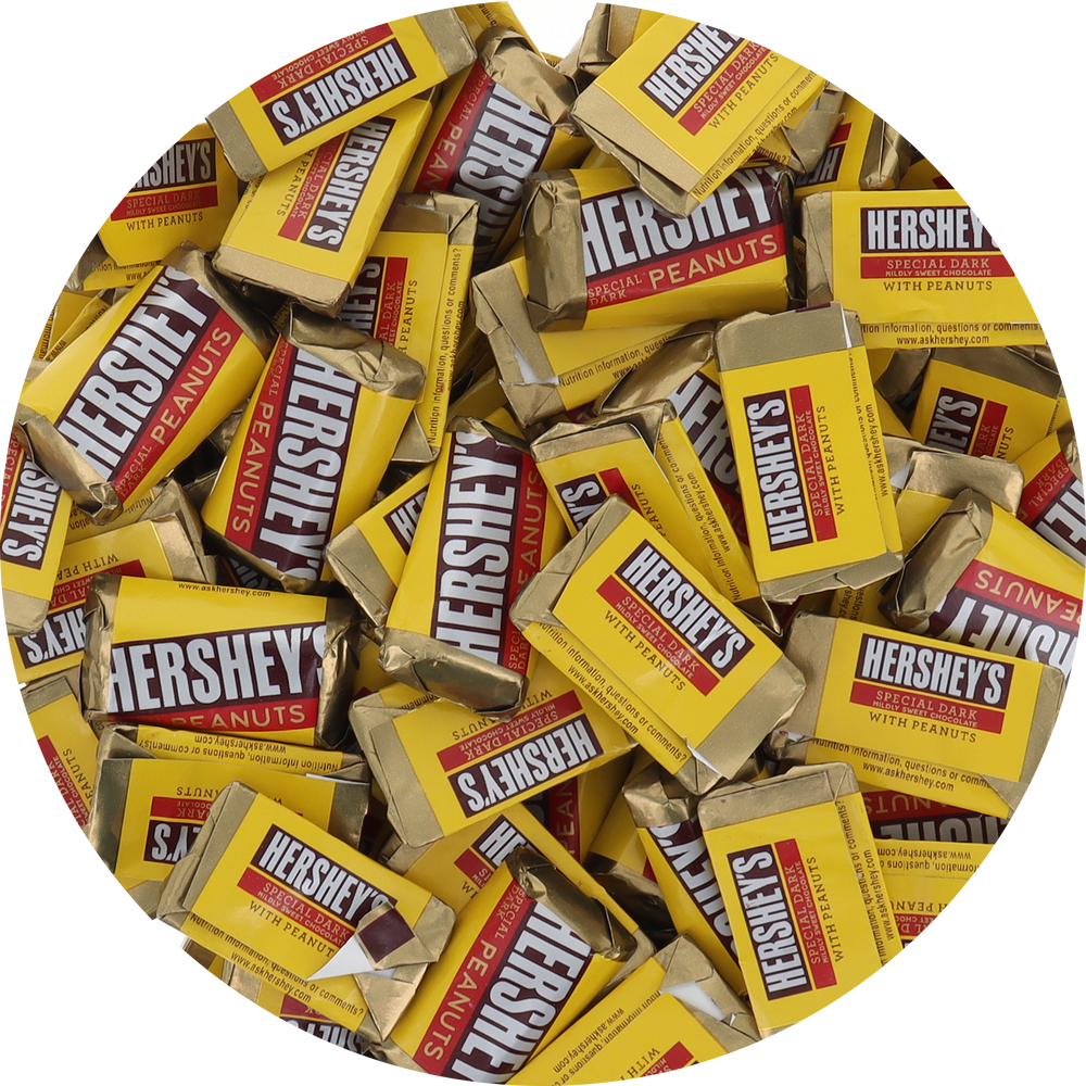 Hershey Special Dark With Peanuts Mini Chocolate Candy Bar in Resealable Bag at OneFlavorCandy Online Sweet Shop