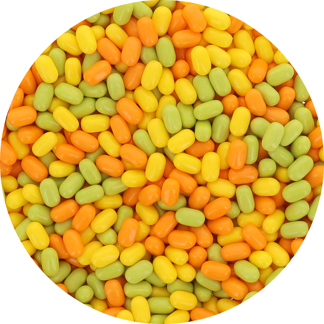 Citrus Adventure Tic Tac - 1lb Bulk Refillable Resealable Bag at OneFlavorCandy Online Sweet Shop
