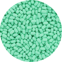 Wintergreen Tic Tac - 1lb Bulk Refillable Resealable Bag at OneFlavorCandy Online Sweet Shop
