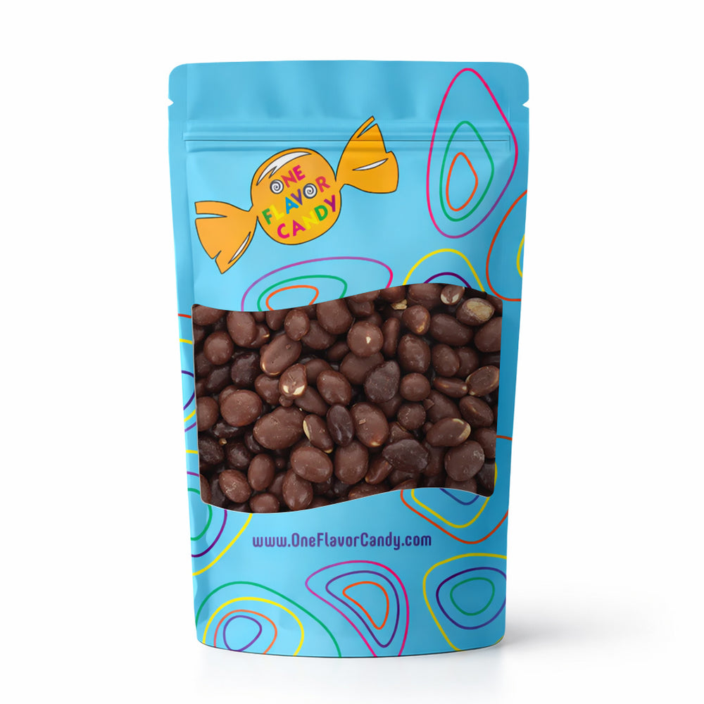 Milk Chocolate Raisinets, Dark Chocolate Raisinets & Goobers Mix (Unwrapped) in Resealable Bulk Bag at OneFlavorCandy Online Sweet Shop